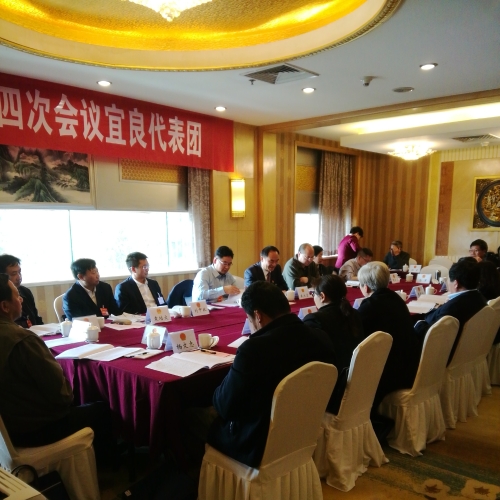 昆明市第十四届人民代表大会第四次会议宜良代表团会议