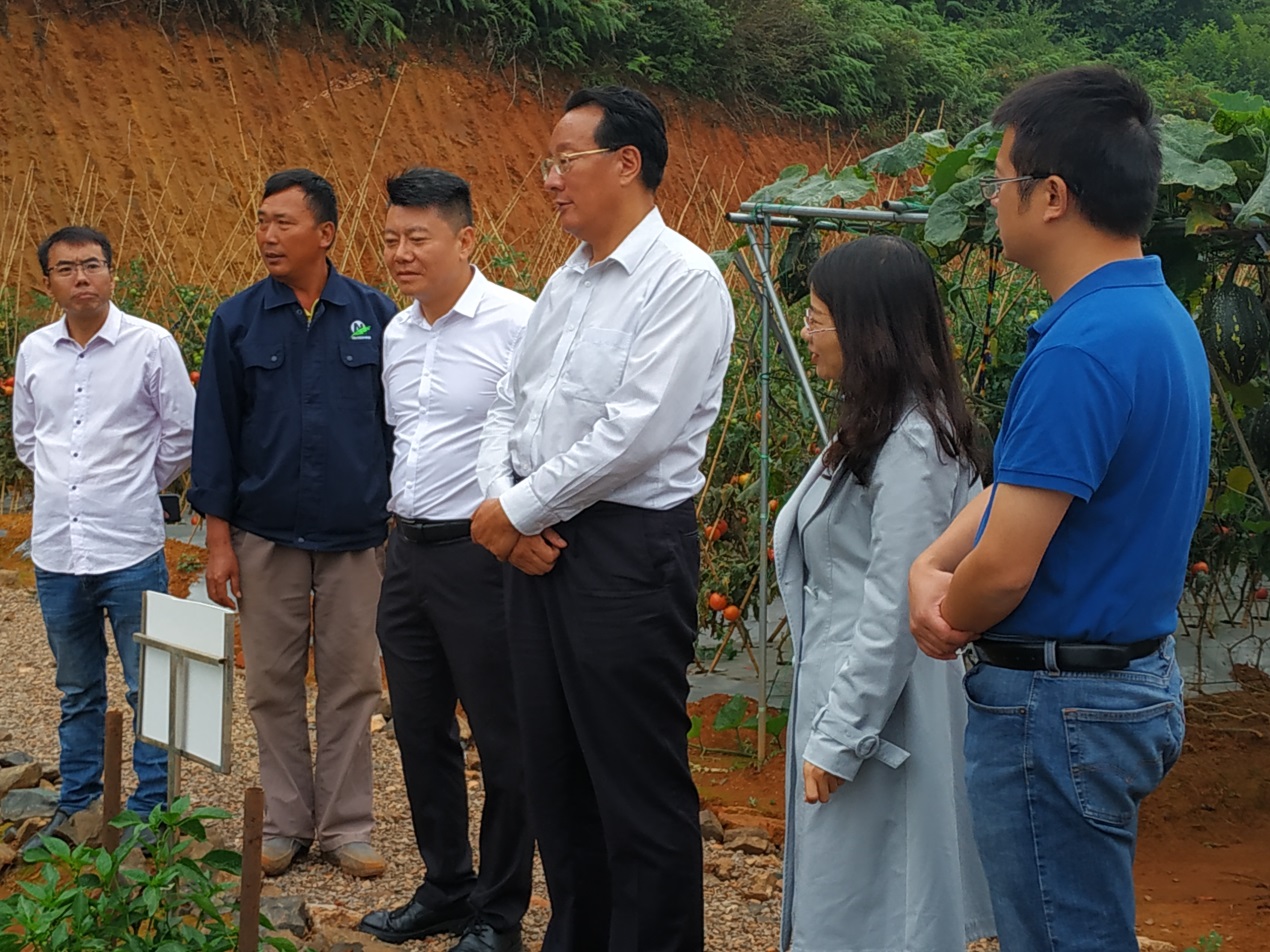 市人大常委会主任拉玛·兴高率队调研实施乡村振兴战略试点工作情况