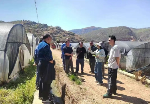 微信截图_20250724162303