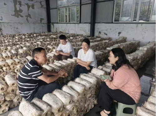 微信截图_20250827160111