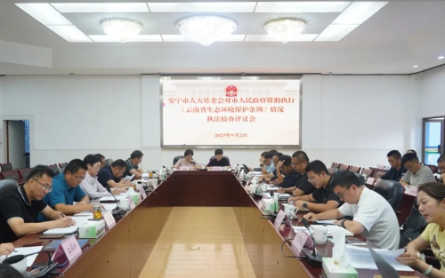 微信截图_20250910144733