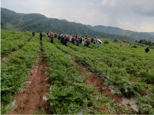 微信截图_20251203182527