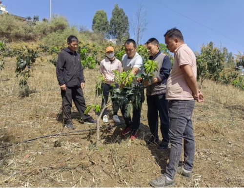 微信截图_20251203191058